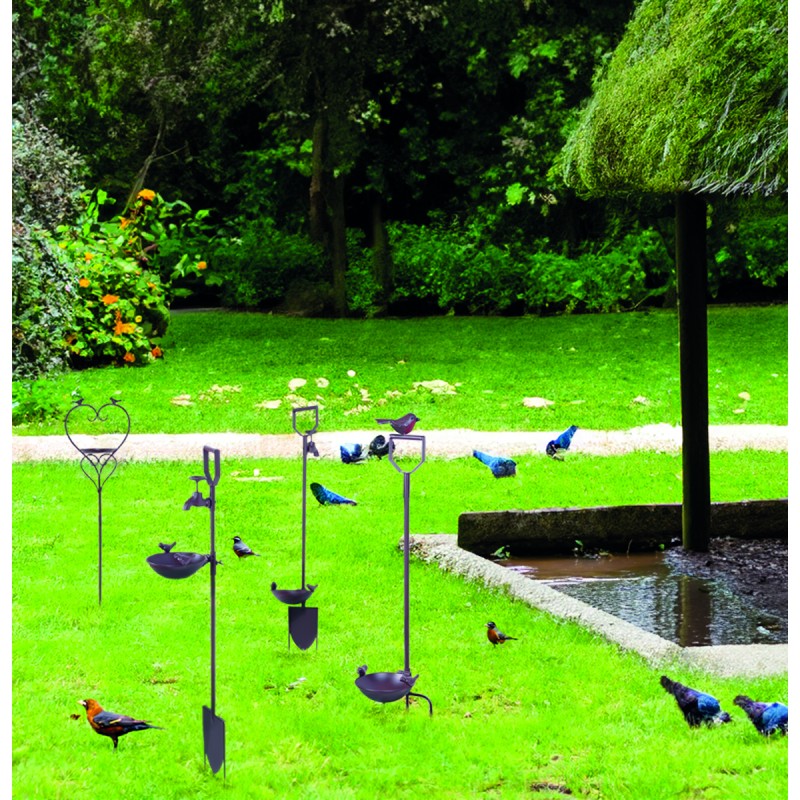BIRDY SWIM (26)