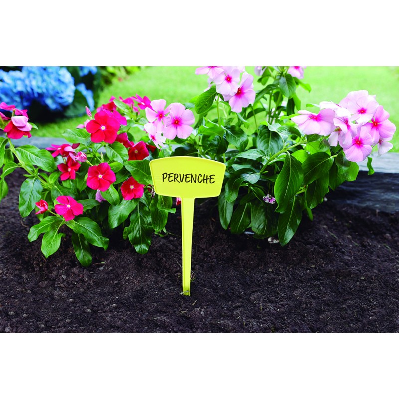 LABEL 25 COLOR