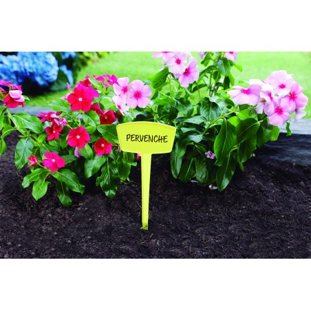 LABEL 25 COLOR