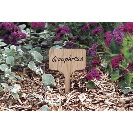 LABEL BAMBOO