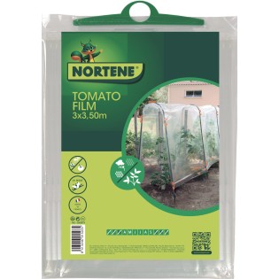 TOMATO FILM