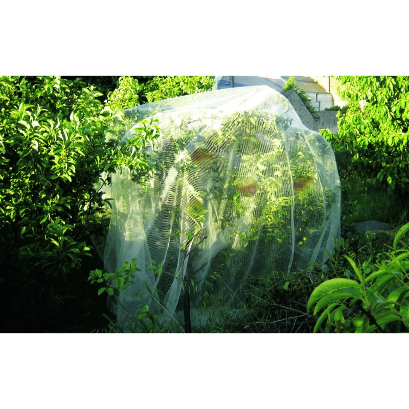 PROTECFRUIT