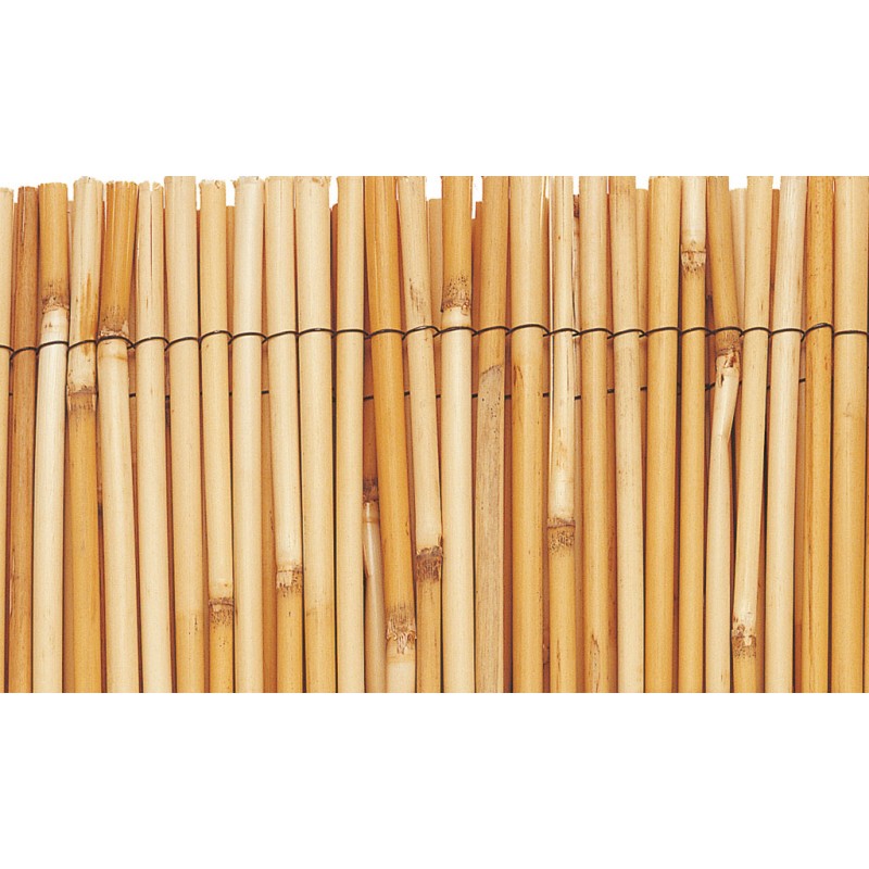 REEDCANE