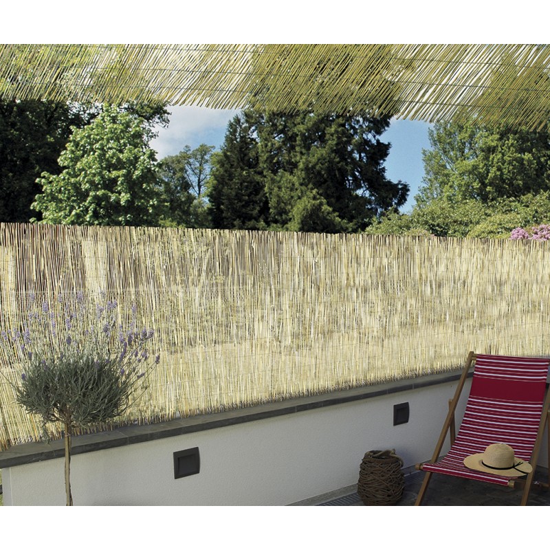 REEDCANE