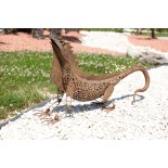 IGUANA