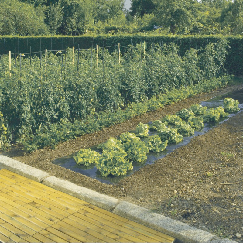 TERRAFILM