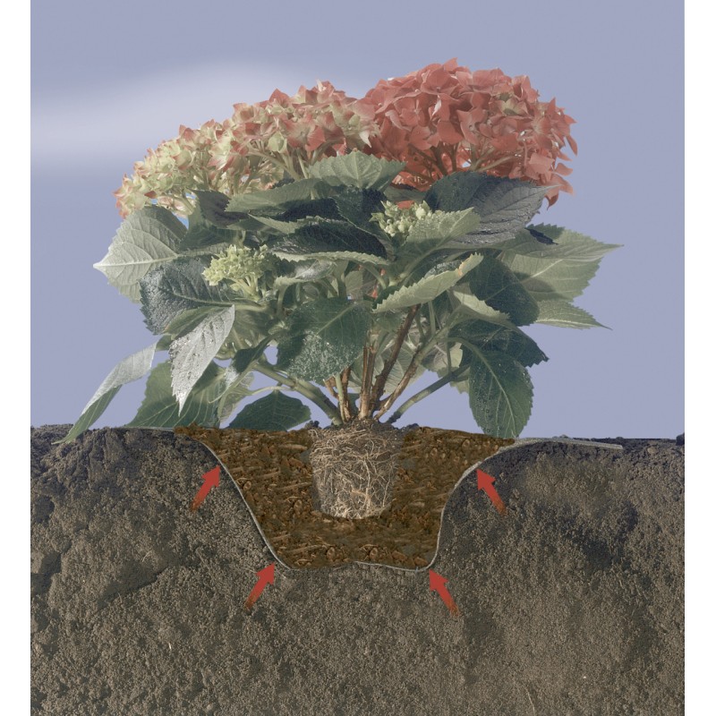 TERRAPLANT