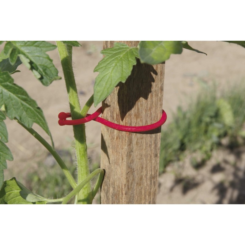 TOMATOCLIPS