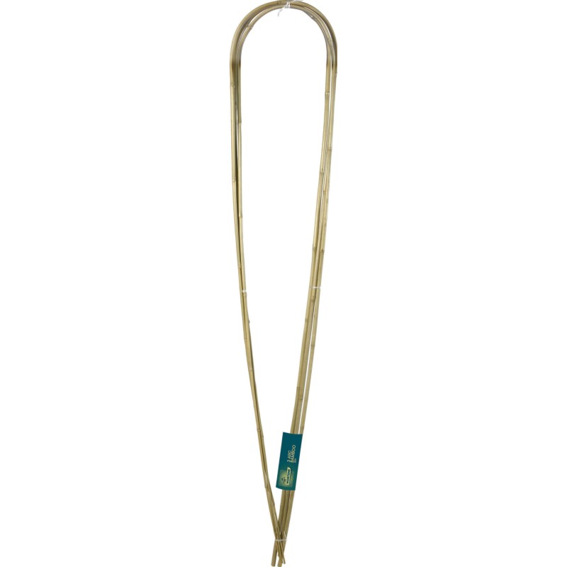 3  ARC BAMBOO