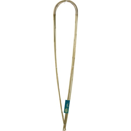 3  ARC BAMBOO