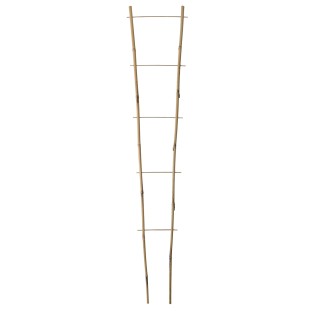 ECHELLE BAMBOO