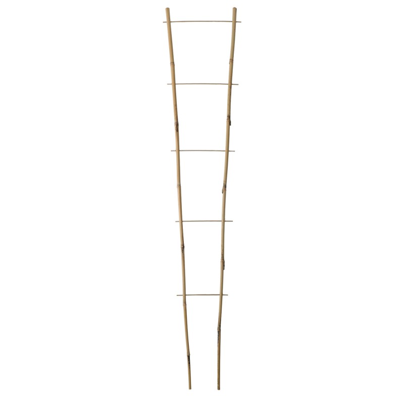 ECHELLE BAMBOO