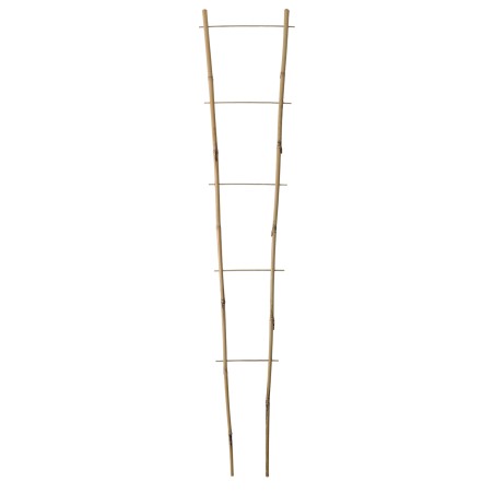 ECHELLE BAMBOO