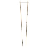 ECHELLE BAMBOO