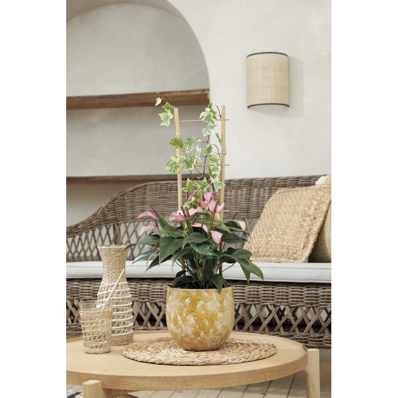 ECHELLE BAMBOO