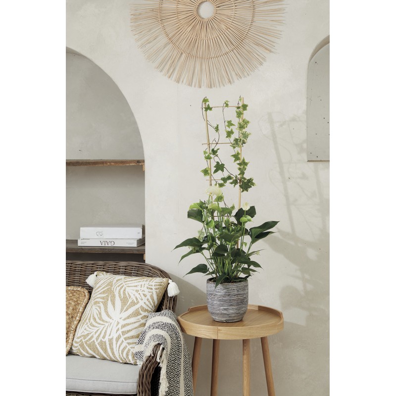 ECHELLE BAMBOO