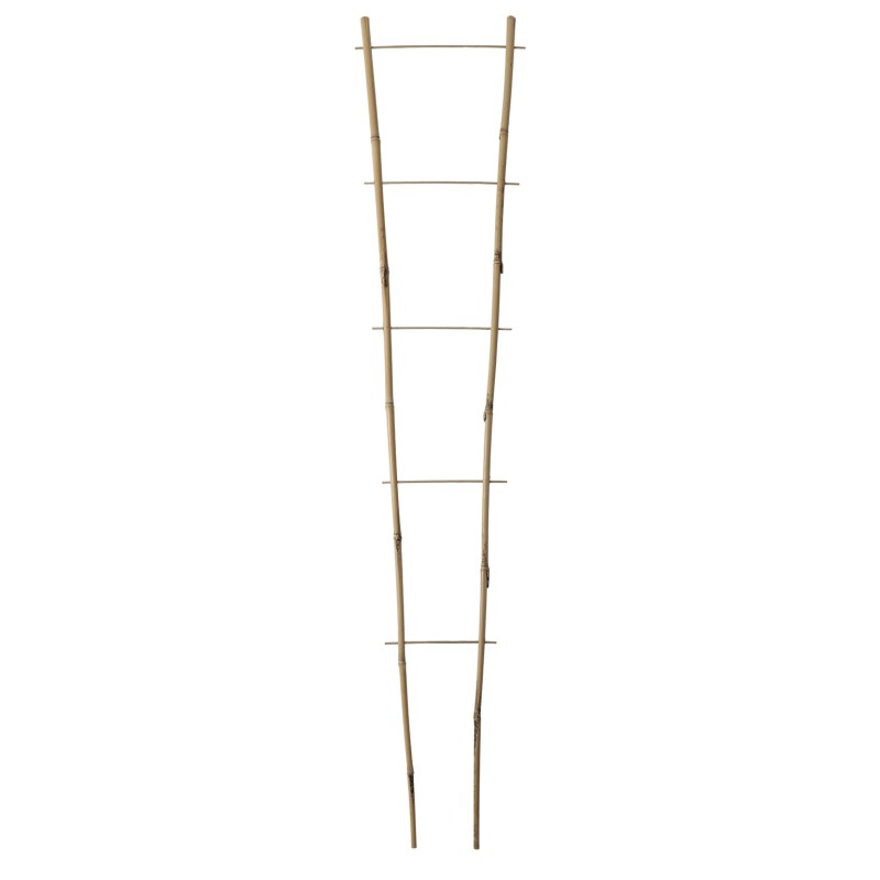 ECHELLE BAMBOO