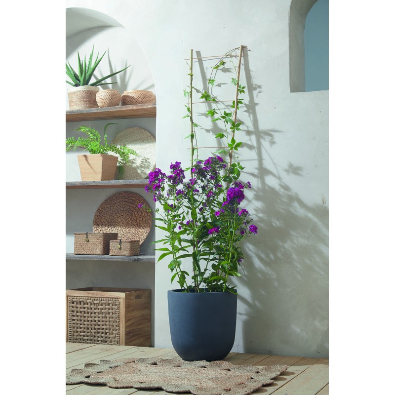 ECHELLE BAMBOO