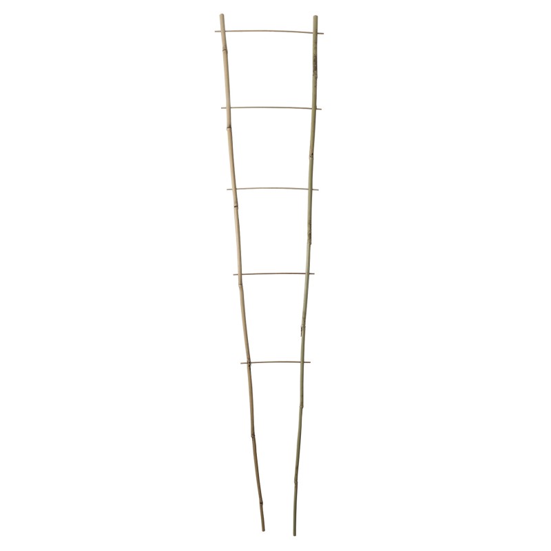 ECHELLE BAMBOO