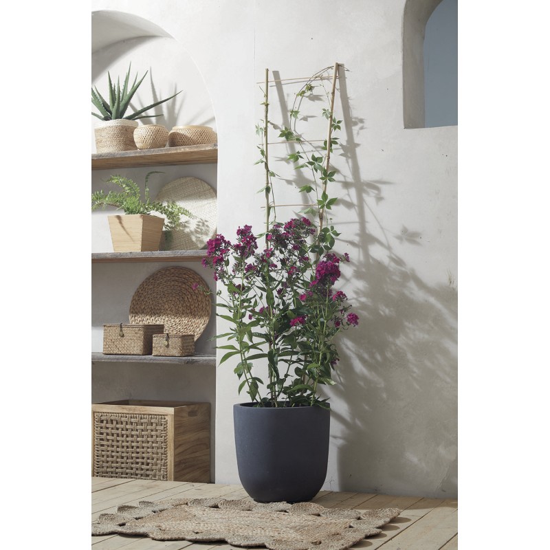 ECHELLE BAMBOO