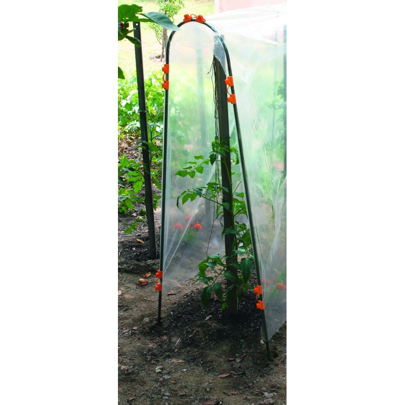 TOMATO TUTEUR