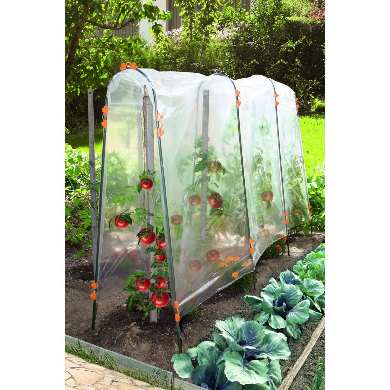 TOMATO TUTEUR