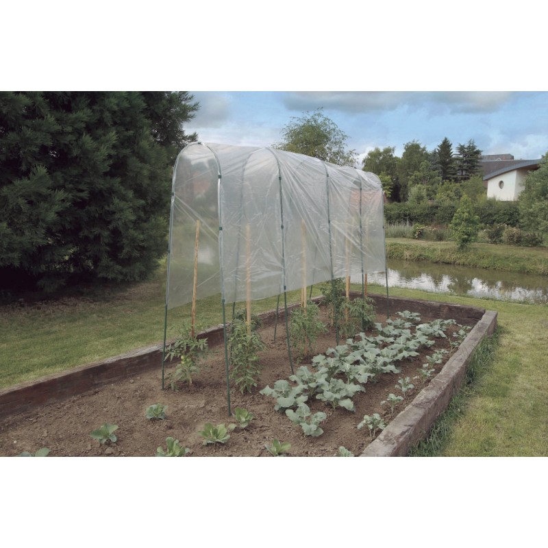TOMATO TUTEUR