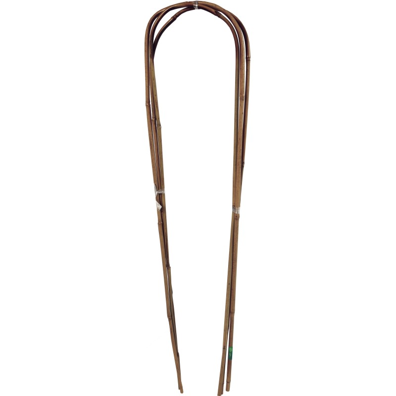 3  ARC BAMBOO