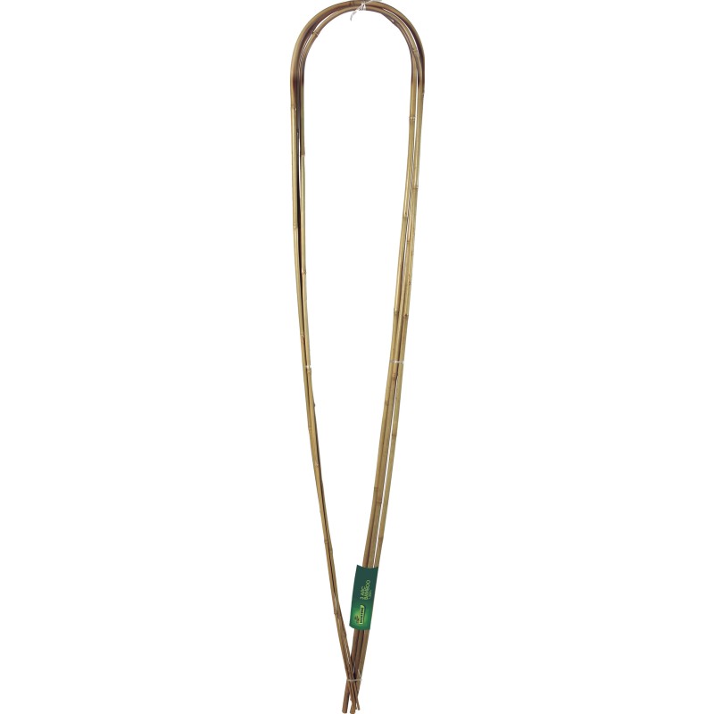 3  ARC BAMBOO