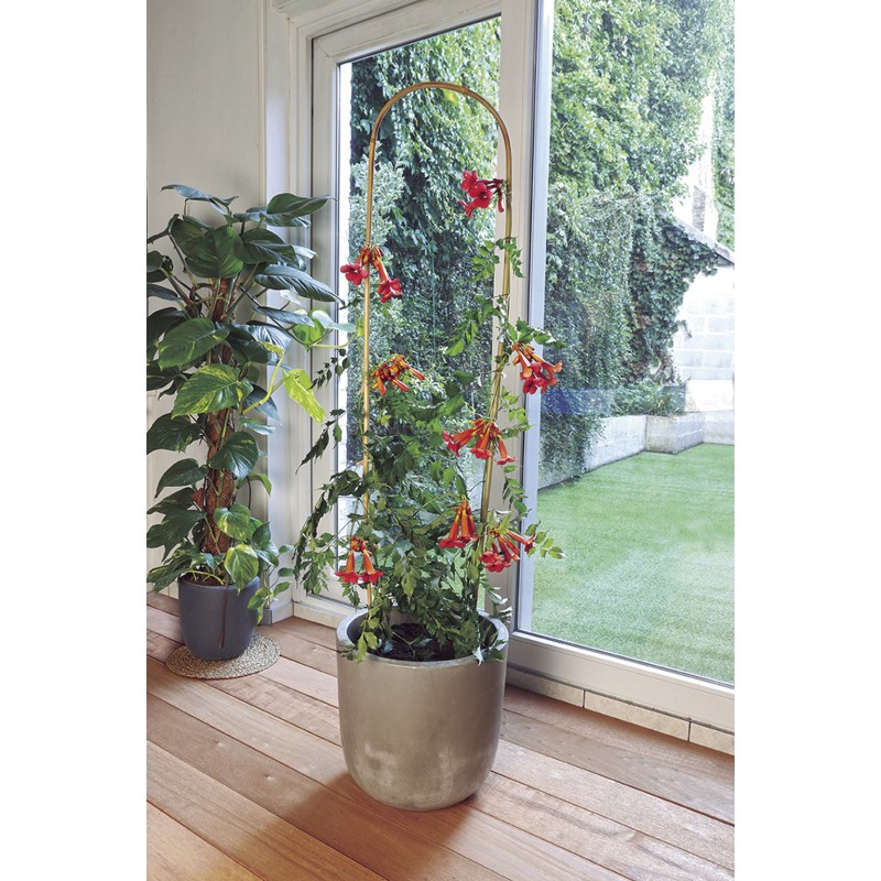 3  ARC BAMBOO