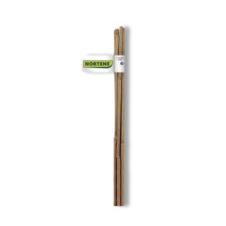 BAMBOO