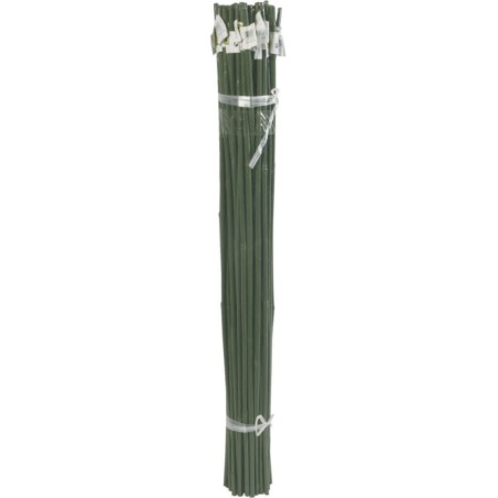 BAMBOO  PLAST