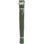 BAMBOO PLAST BAMBOO PLAST