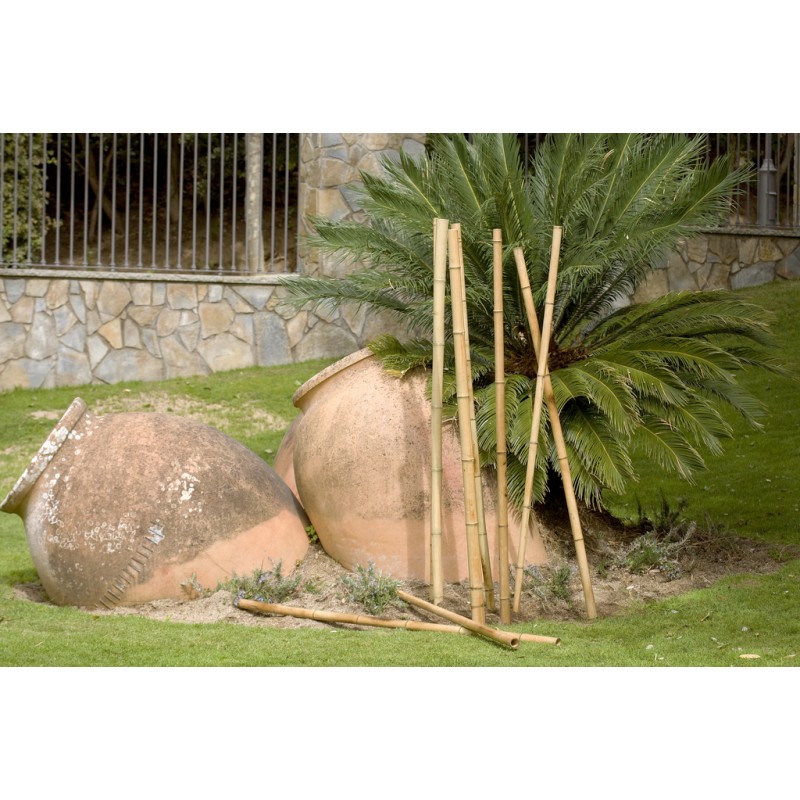 BAMBOO DECO 2m40