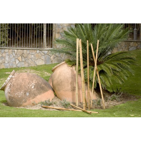 BAMBOO DECO 2m40