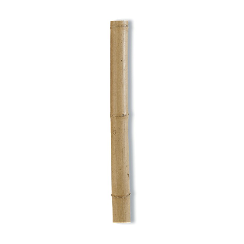 BAMBOO DECO 2m40