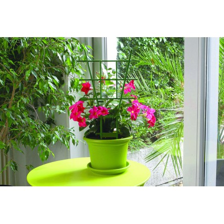 ECHELLE 37cm