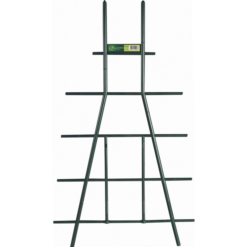 ECHELLE 50cm