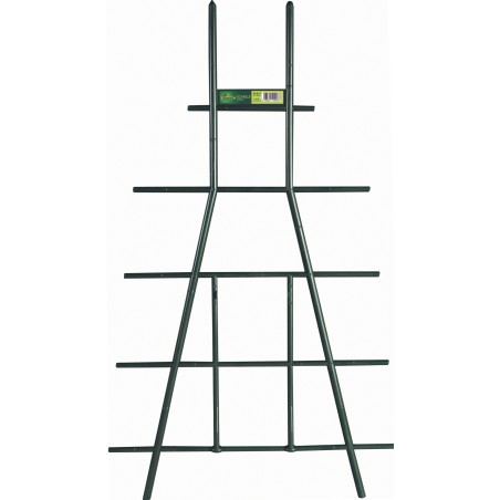 ECHELLE 50cm