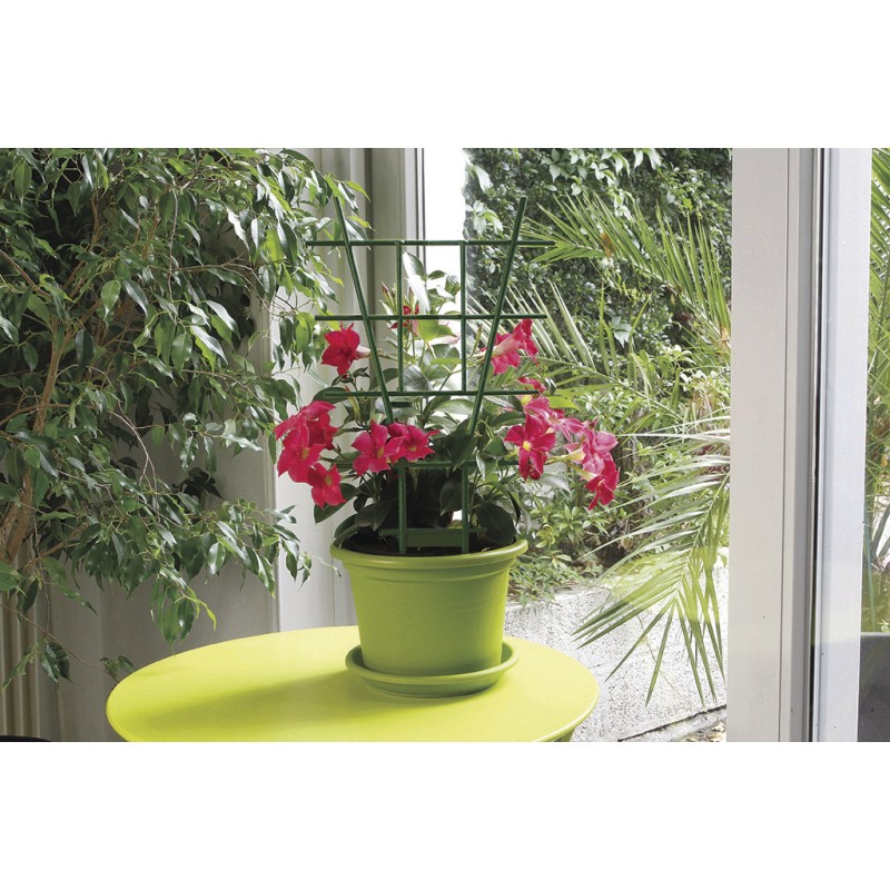 ECHELLE 50cm
