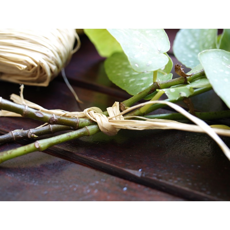RAPHIA naturel