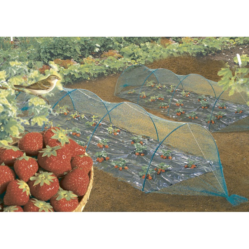 BIRDNET