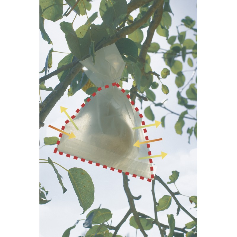 FRUITSAC