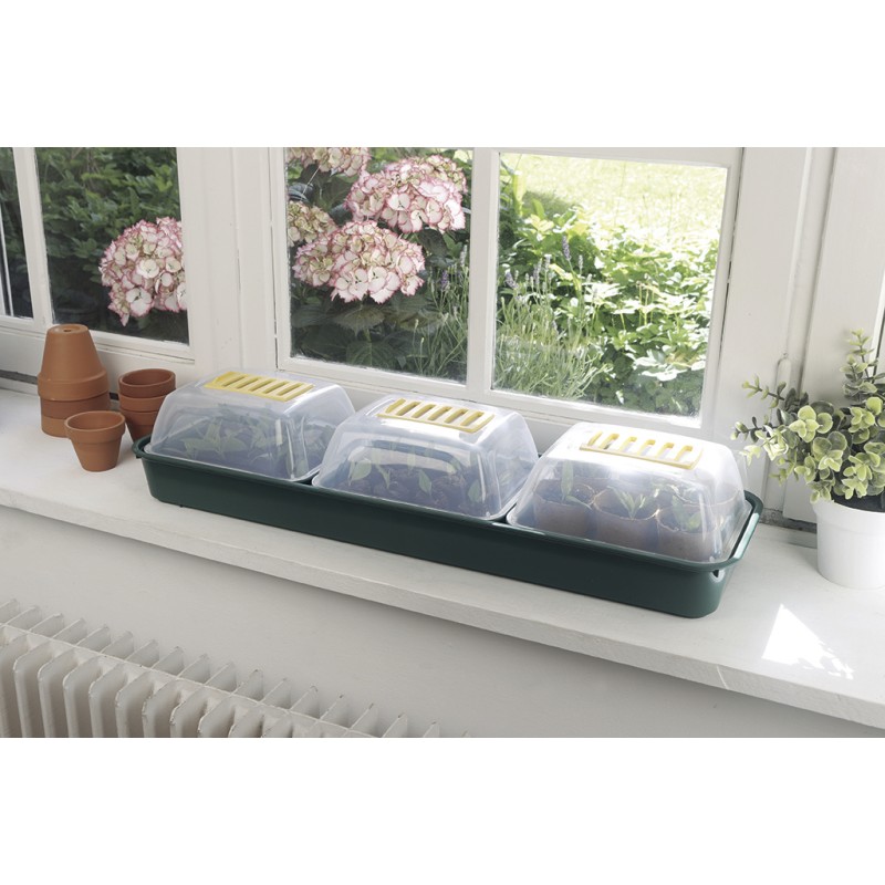 RAPID GROW WINDOW