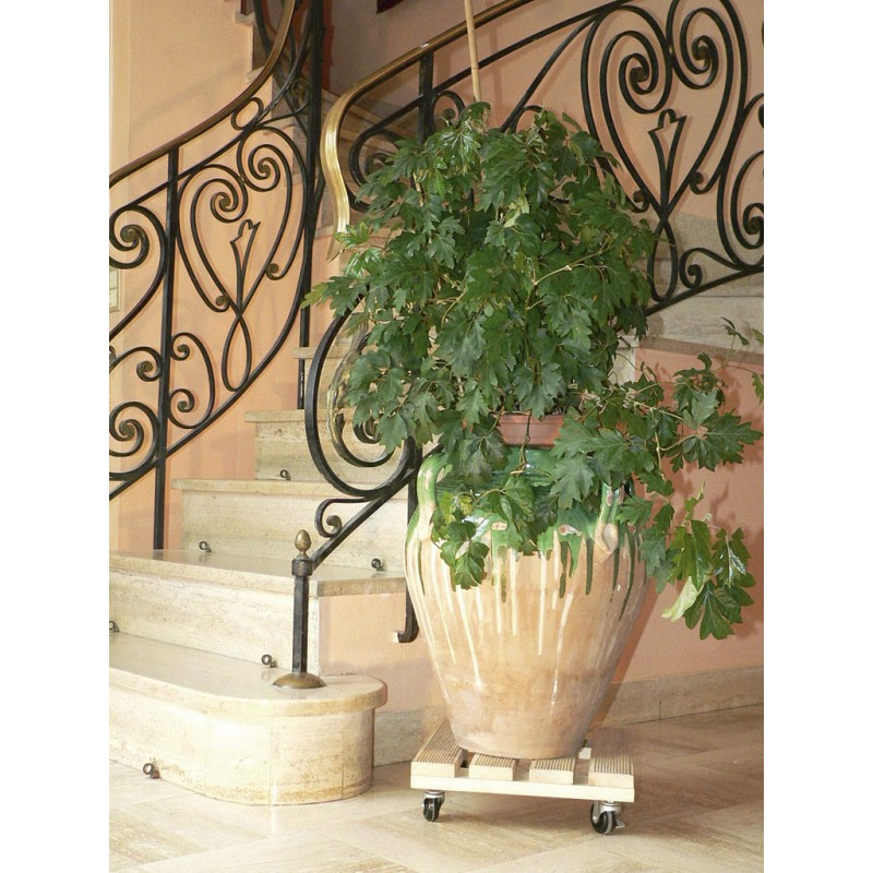FLORA ROLL AUTOCLAVE CARRE 35CM