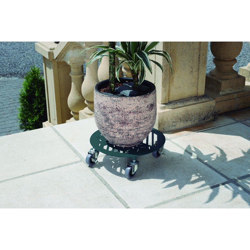 FLORA ROLL CACTUS