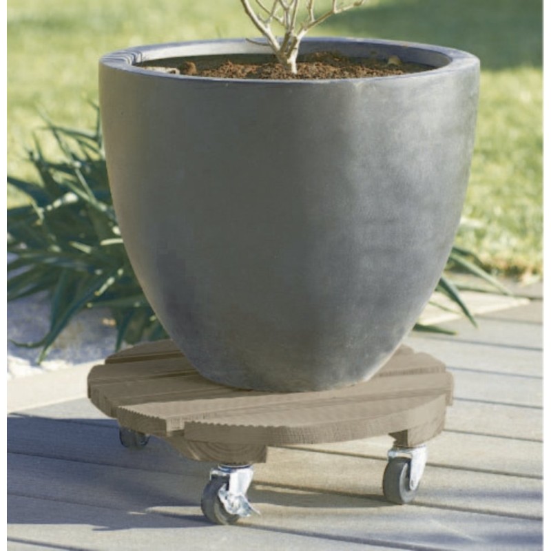 FLORA ROLL COLOR TAUPE