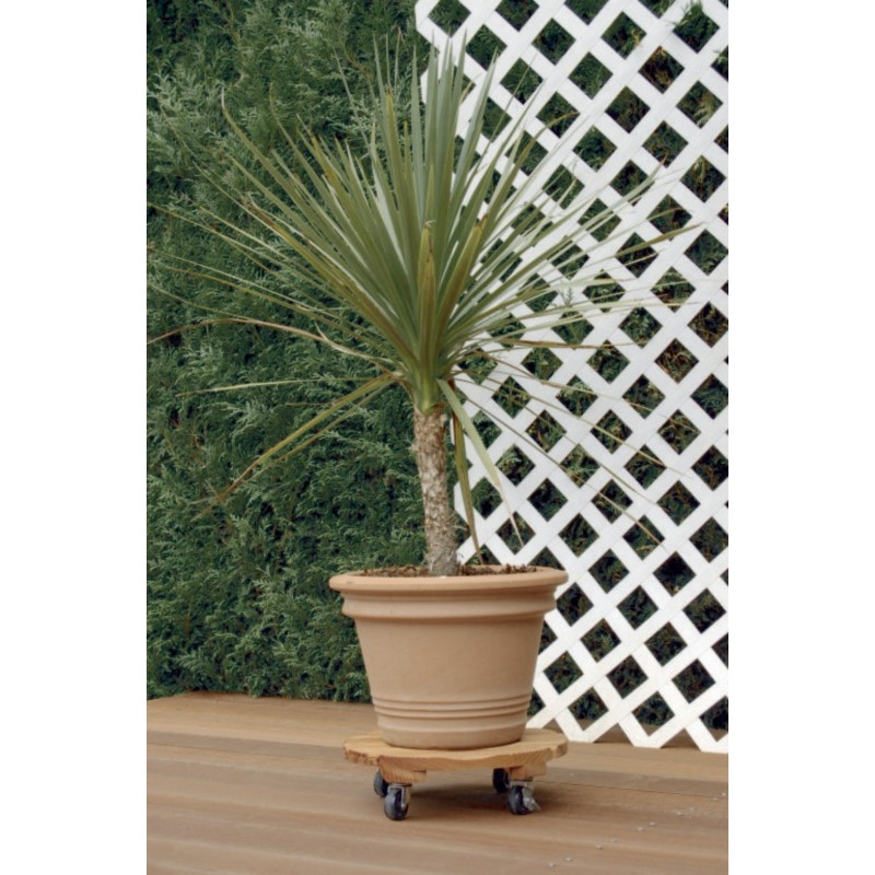 FLORA ROLL LASURE ROND