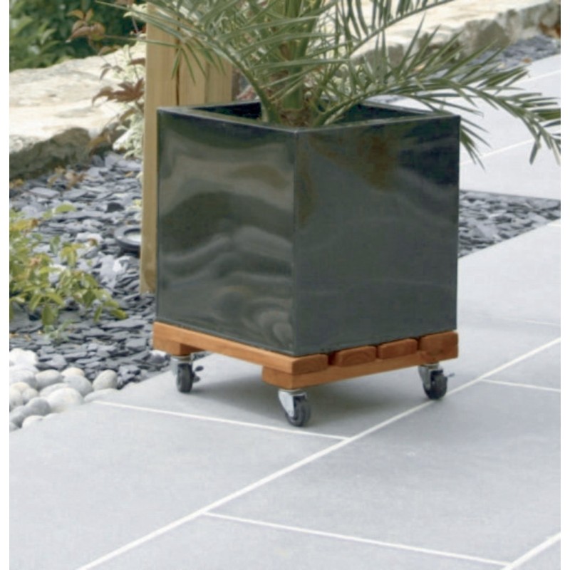 FLORA ROLL LASURE CARRE