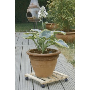 FLORA ROLL NATURA CARRE 35CM